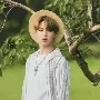 park jimin