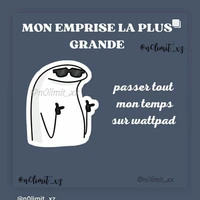 auteurs