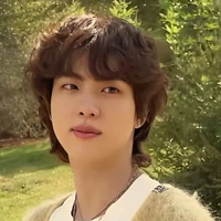 Jeon Jin (omega) Namjoon