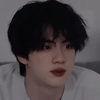 Kim seokjin (alfa.d)