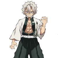 sanemi shinazugawa
