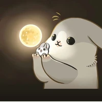 Piggy author🐷🐽