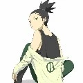 shikadai