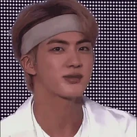 Kim seokjin (jin)