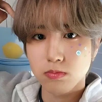 Han Jisung  (han)