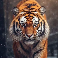 เสือสมิง//ในร่างภาคิน.