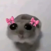แอดเอง
