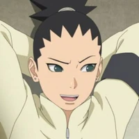 Nara Shikadai