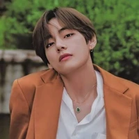 V🐆