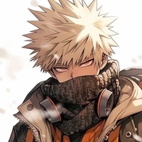 Katsuki Bakugou{D.D}