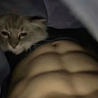 แมวจะสวบกู!!/แอดเอง:)