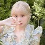 momo agenza