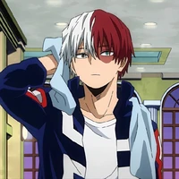 TODOROKI