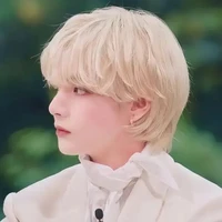 JEON TAEHYUNG [vivian park] {MC}