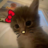 แอดเองคะ