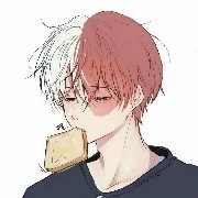 Todoroki