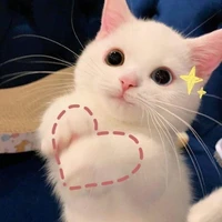 เเมวพลอย
