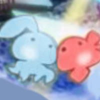 คิราระของไอริ