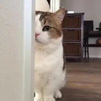 💓😽ไอ้ต้าวน่ารัก(read) 💓😽