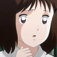 yoshiko fujisawa
