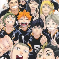 karasuno tim