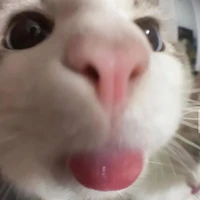 แอดคนดีคนเดิม