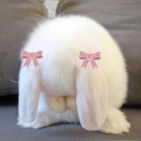เบบี้ซากำลังนอย !