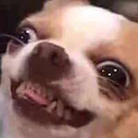 แอด