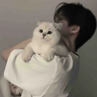 วายุ