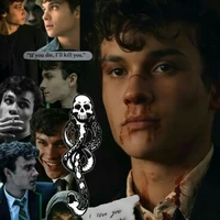 mattheo riddle(alfa dominante 22 años)