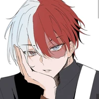 Shoto Todoroki