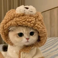 แอดเองง