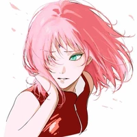 Sakura🌸/alfa 