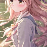 Y/n