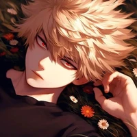 Katsuki Bakugou (a.d)