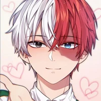Shoto Todoroki (a.d)
