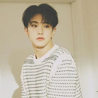 Soonyoung/Hoshi