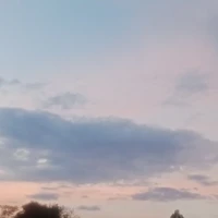 ??