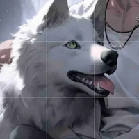 loup blanc
