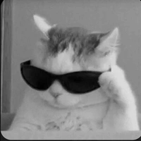 Your Author Alo ;) ✍️🫶✌️