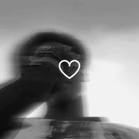 Auteur