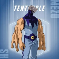 Mezo shoji