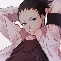 shikamaru(op)