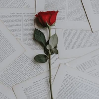 Your Author