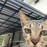 ปลาเผา(ผู้ชาย)