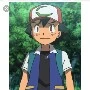 Ash