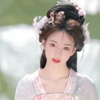 เฟิ่งอันหนิง(คนสนิทน.อ)