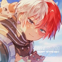 shoto todoroki