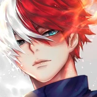 shoto todoroky