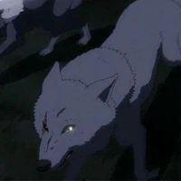 All Wolf